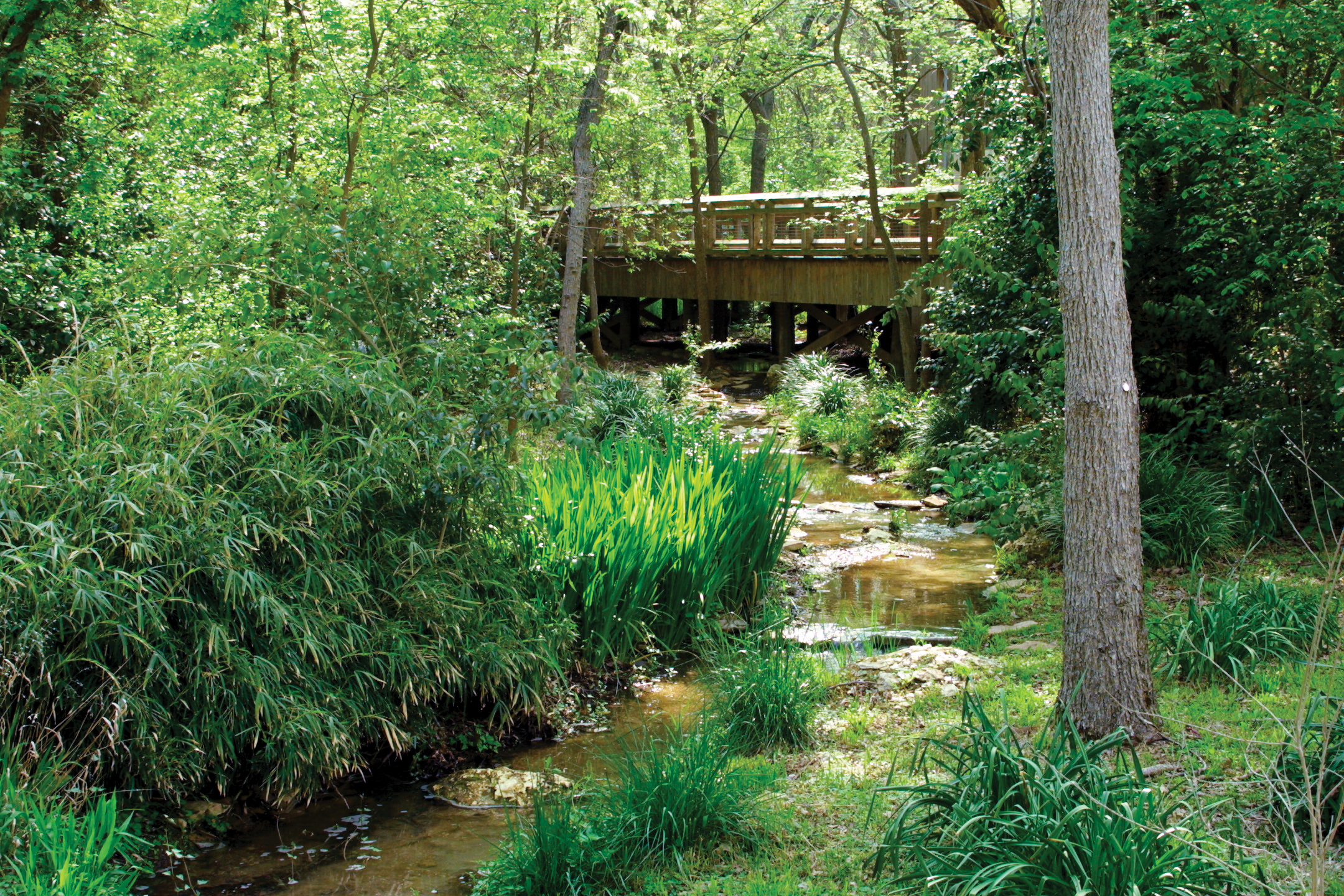 Cameron Park Zoo